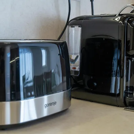 Evgeny's Stylishly Designed 2 Bedroom Garage! *