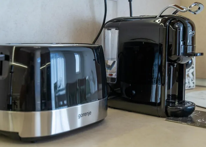 Evgeny's Stylishly Designed 2 Bedroom Garage! *