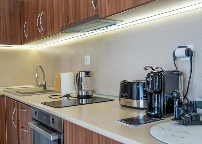 Evgeny's Stylishly Designed 2 Bedroom Garage! *